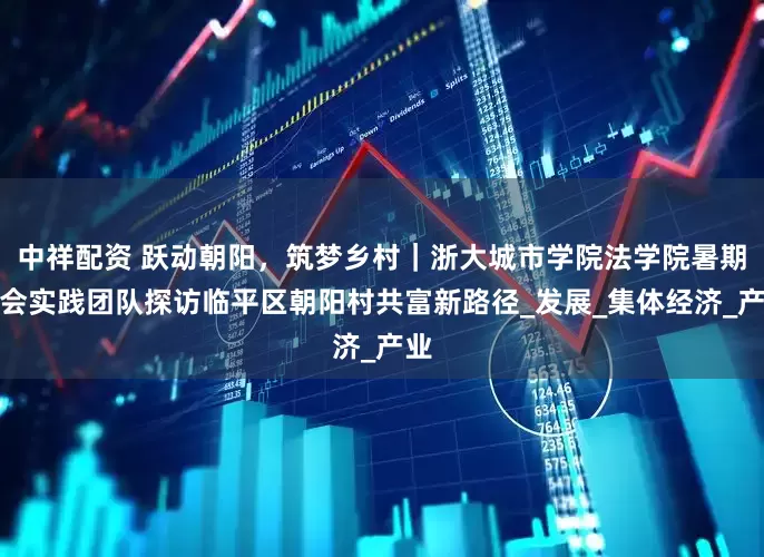 中祥配资 跃动朝阳，筑梦乡村｜浙大城市学院法学院暑期社会实践团队探访临平区朝阳村共富新路径_发展_集体经济_产业