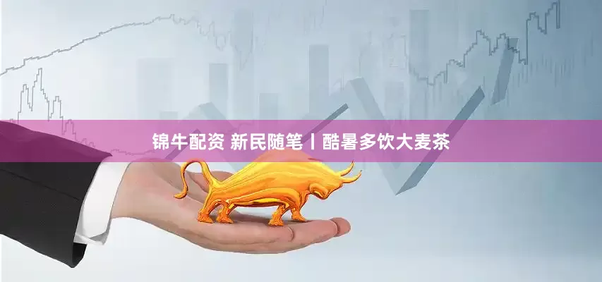 锦牛配资 新民随笔丨酷暑多饮大麦茶