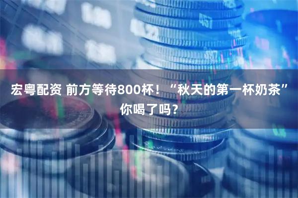 宏粤配资 前方等待800杯！“秋天的第一杯奶茶”你喝了吗？